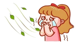 你为什么流泪？