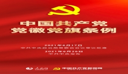 中国共产党党旗党徽制作和使用这些规定要注意！