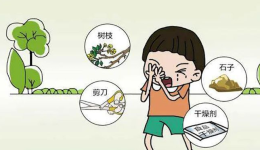 踏青郊游季，谨防眼外伤